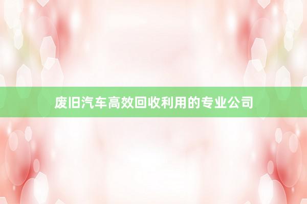 废旧汽车高效回收利用的专业公司